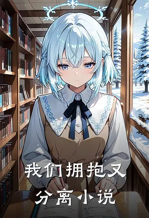 我们拥抱又分离小说