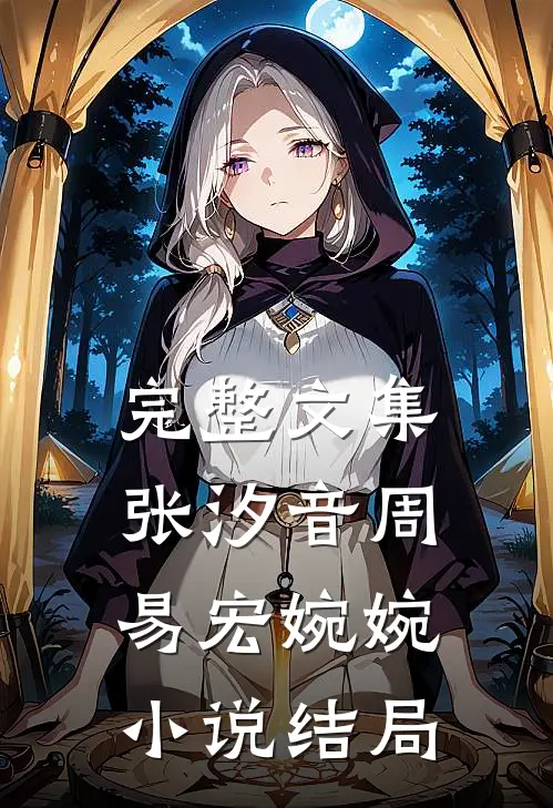完整文集张汐音周易宏婉婉小说结局