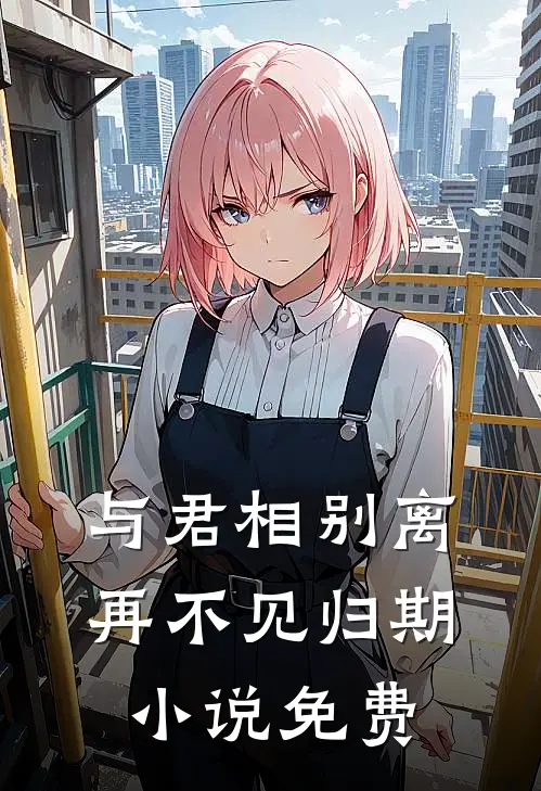 与君相别离，再不见归期小说免费