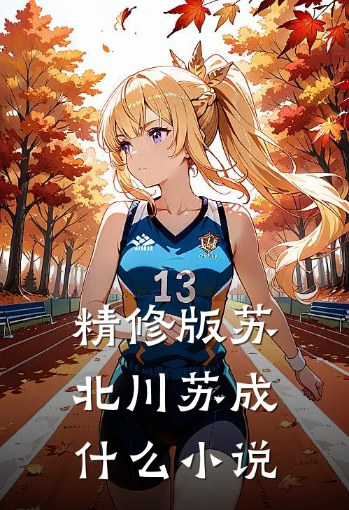 精修版苏北川苏成什么小说