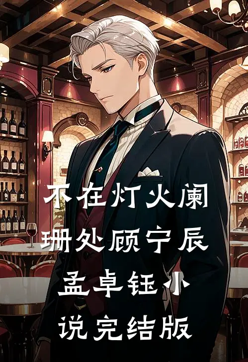 不在灯火阑珊处顾宁辰孟卓钰小说完结版
