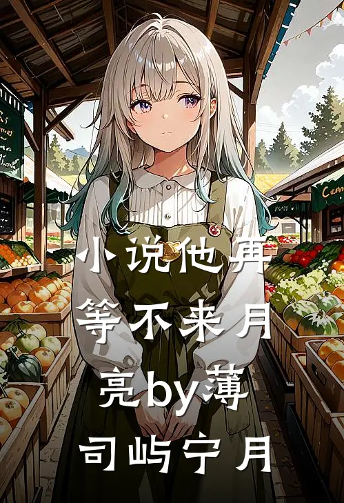 小说他再等不来月亮by薄司屿宁月