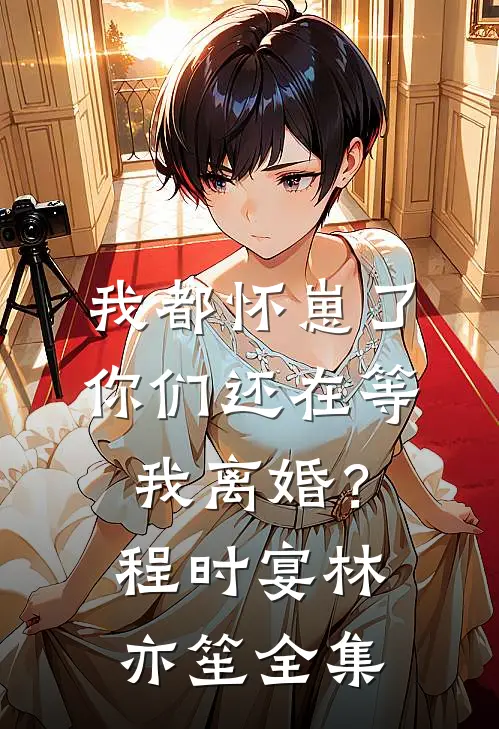 我都怀崽了，你们还在等我离婚？程时宴林亦笙全集