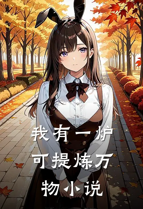 我有一炉，可提炼万物小说