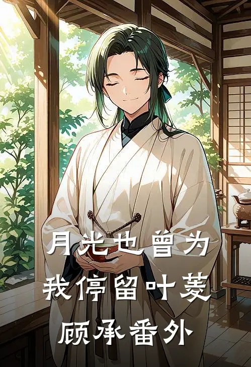 月光也曾为我停留叶菱顾承番外