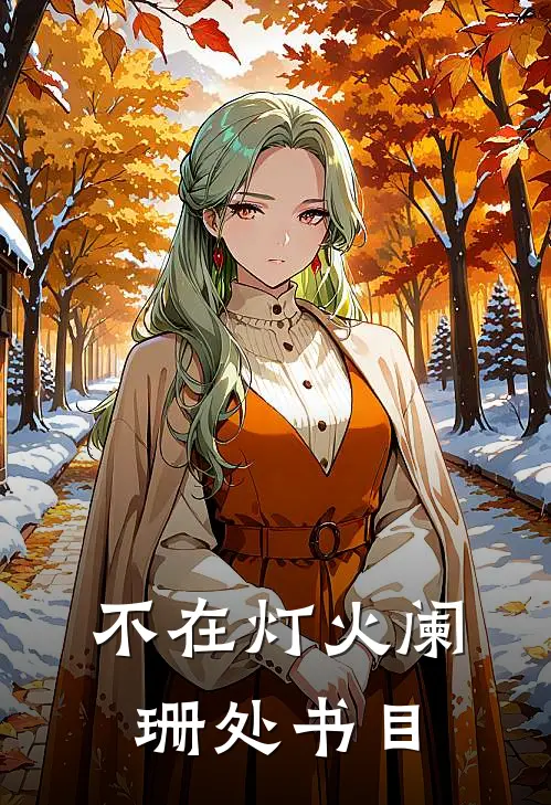 不在灯火阑珊处书目