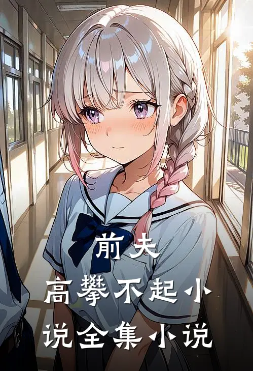 前夫,高攀不起 小说全集小说