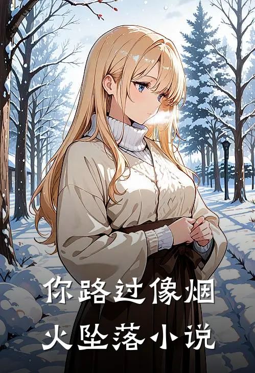 你路过像烟火坠落小说