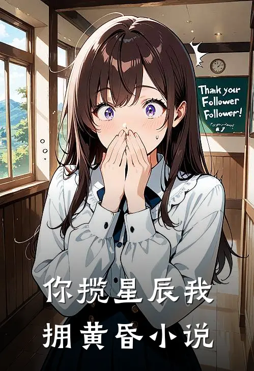你揽星辰我拥黄昏小说