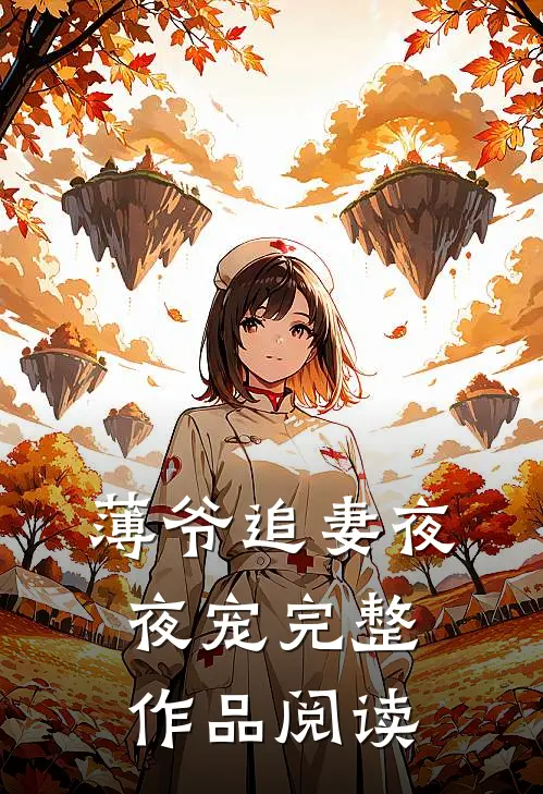 薄爷追妻夜夜宠完整作品阅读