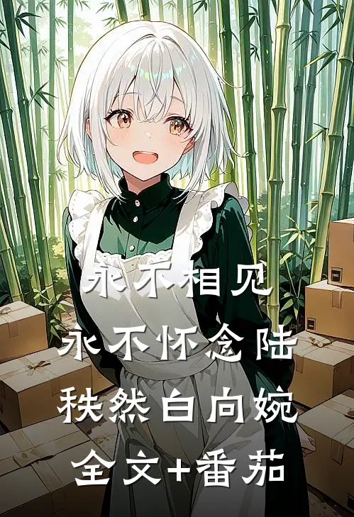 永不相见，永不怀念陆秩然白向婉全文+番茄