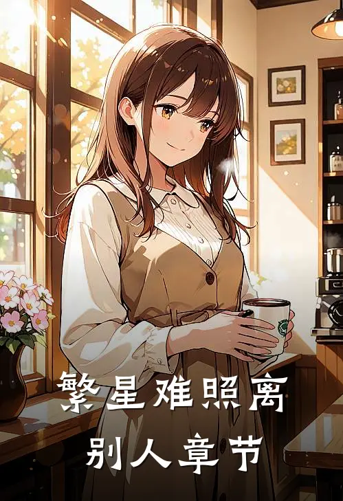 繁星难照离别人章节