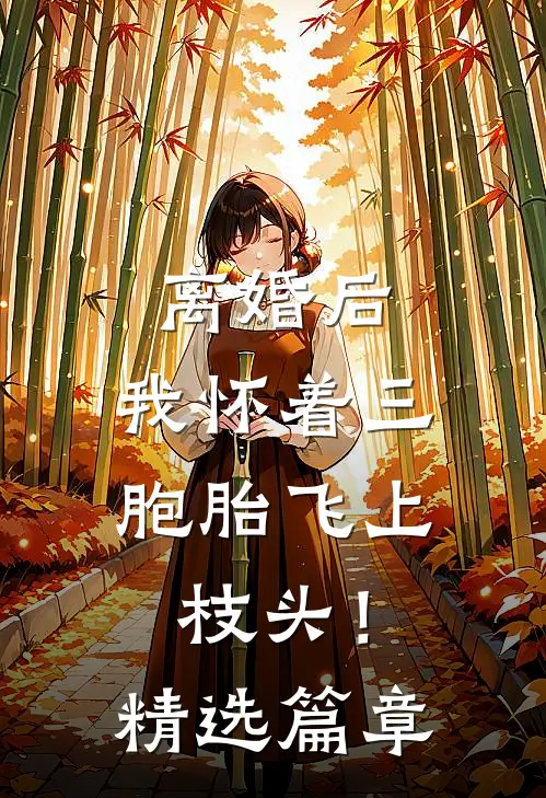 离婚后，我怀着三胞胎飞上枝头！精选篇章