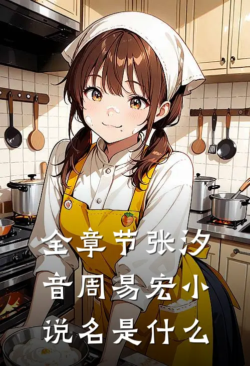 全章节张汐音周易宏小说名是什么