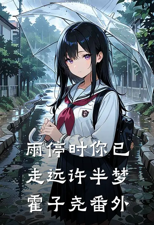雨停时你已走远许半梦霍子尧番外