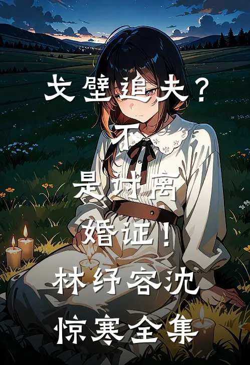 戈壁追夫？不，是讨离婚证！林纾容沈惊寒全集