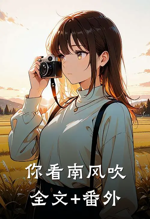 你看南风吹全文+番外