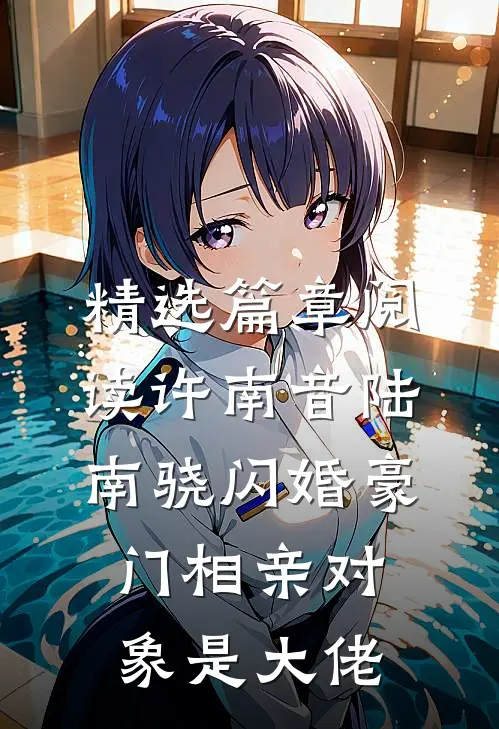精选篇章阅读许南音陆南骁闪婚豪门相亲对象是大佬