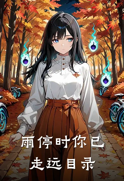 雨停时你已走远目录