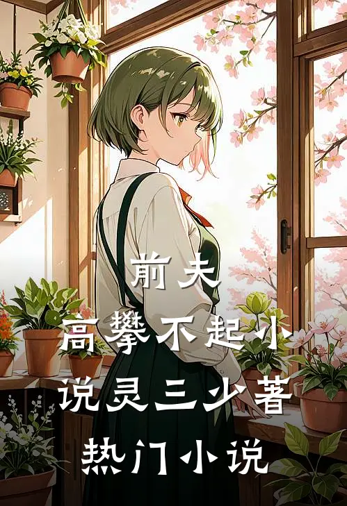 前夫,高攀不起 小说灵三少著热门小说