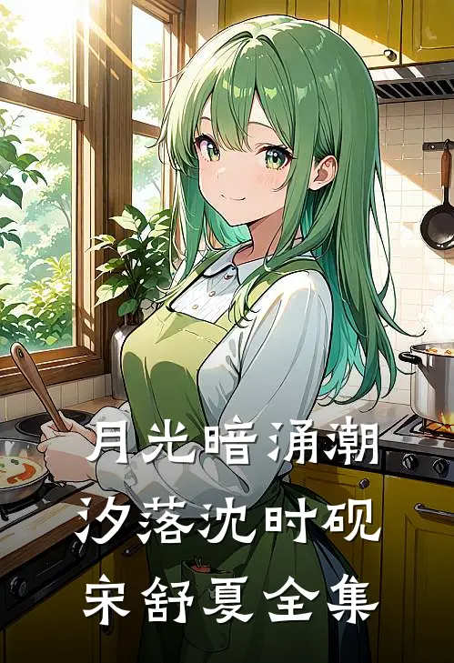 月光暗涌潮汐落沈时砚宋舒夏 全集