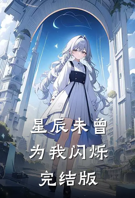 星辰未曾为我闪烁完结版